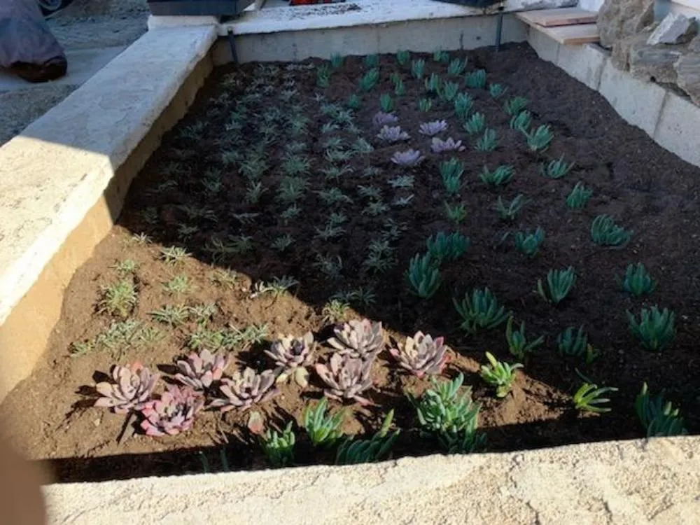 Reliable landscaping services for homes across Los Angeles, CA - Jose Quinteros Landscaping