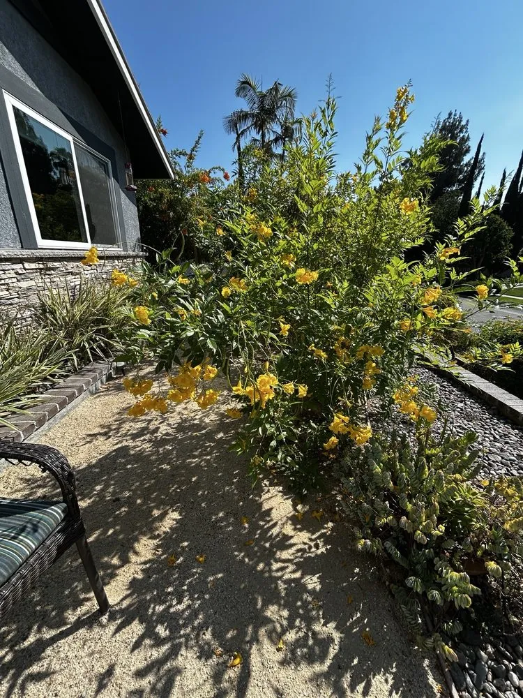Local garden landscaping in Garden Grove, CA - Jose Raymundo Gardening