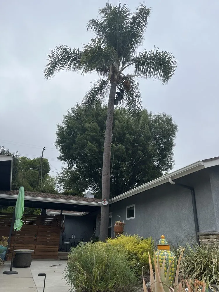 Affordable landscape design for homes across Garden Grove, CA - Jose Raymundo Gardening