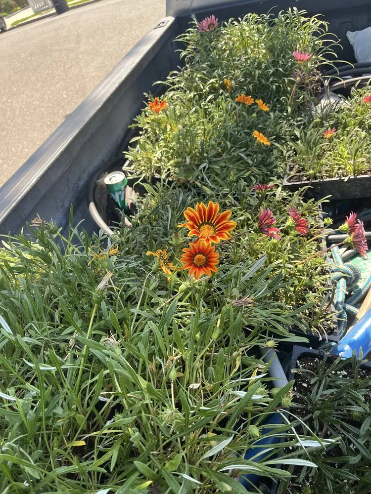 Expert lawn care service in Garden Grove, CA by Jose Raymundo Gardening