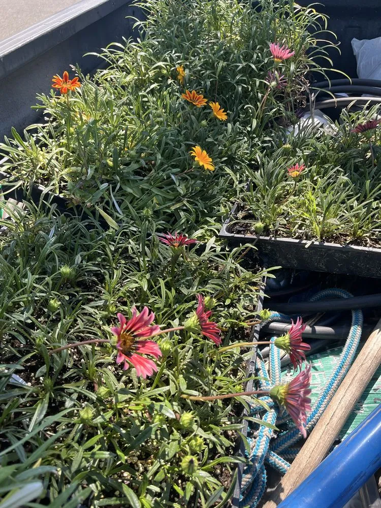 Affordable landscape installation near you across Garden Grove, CA - Jose Raymundo Gardening