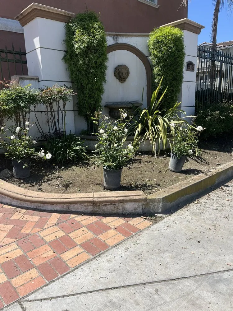 Reliable landscape installation in Garden Grove, CA - Jose Raymundo Gardening