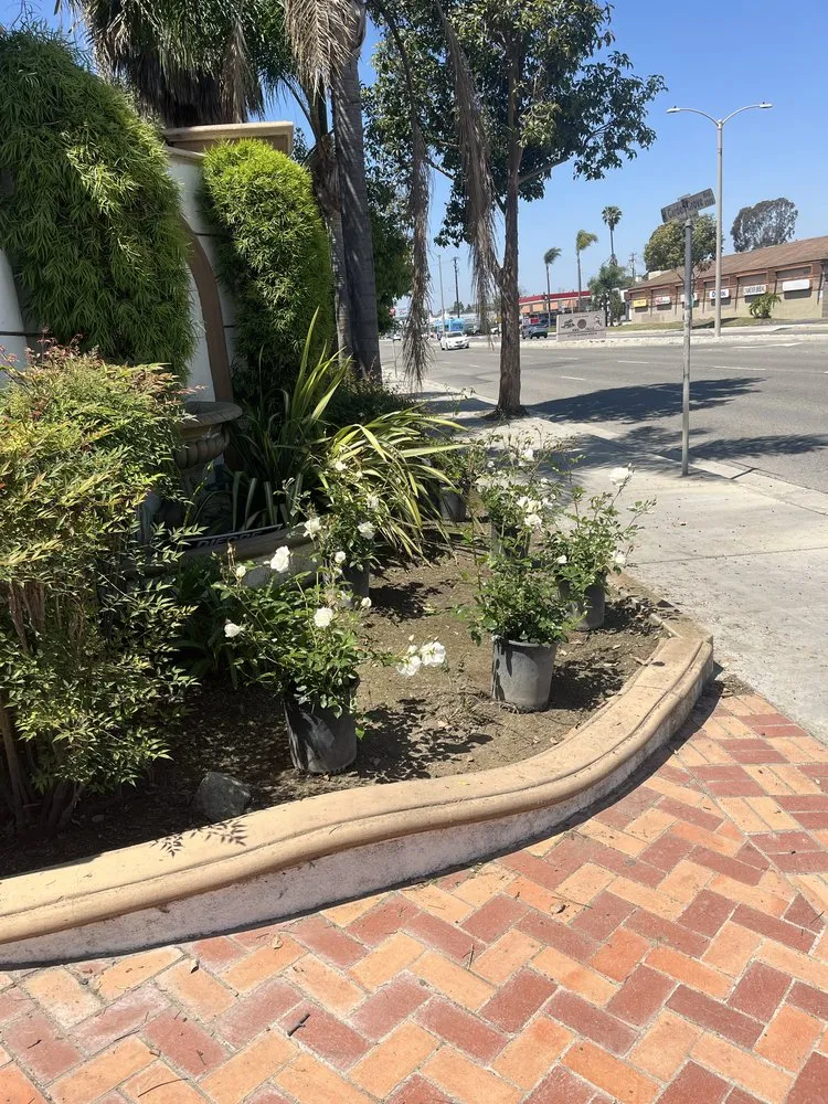 Trusted landscaping services in Garden Grove, CA by Jose Raymundo Gardening