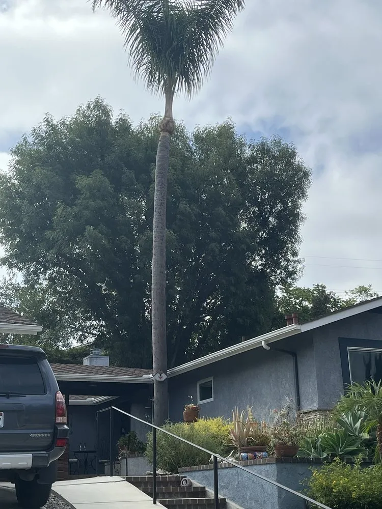 Trusted lawn care service for outdoor upgrades in Garden Grove, CA by Jose Raymundo Gardening