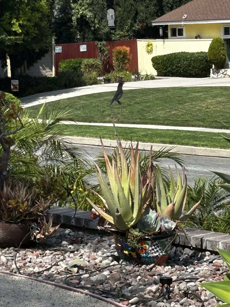 Local lawn mowing service experts serving Garden Grove, CA - Jose Raymundo Gardening