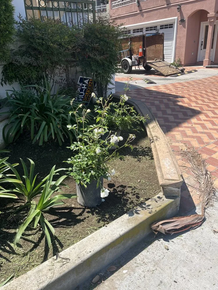 Custom lawn mowing service for beautiful yards in Garden Grove, CA by Jose Raymundo Gardening