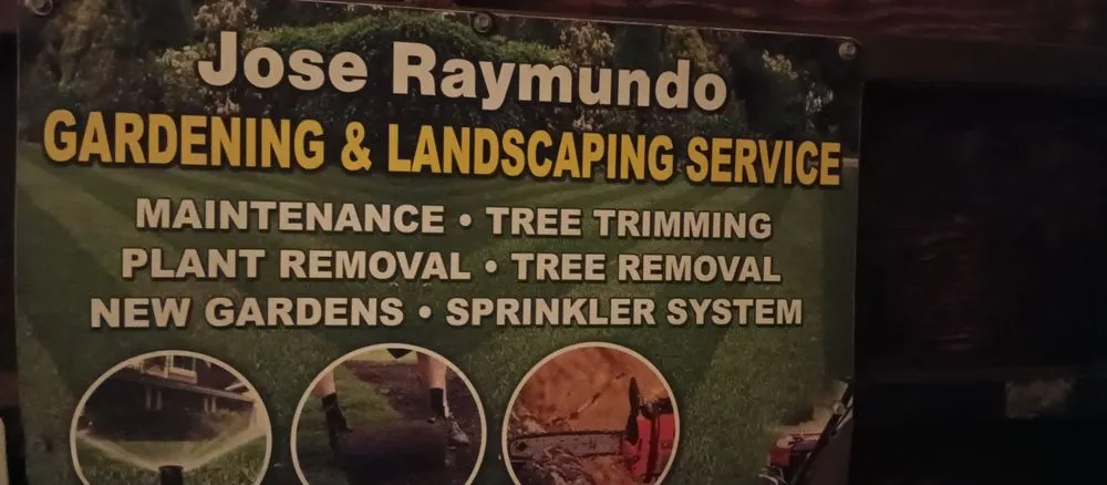 Professional yard maintenance for year-round maintenance in Garden Grove, CA by Jose Raymundo Gardening