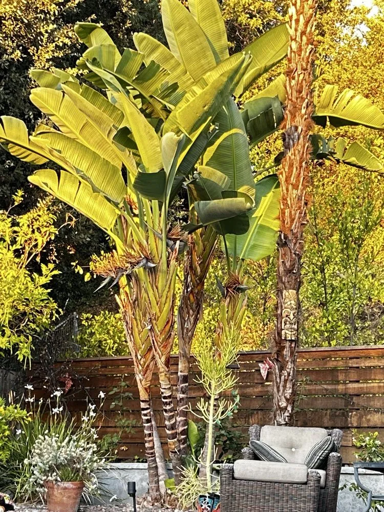 Top-rated landscape installation for year-round maintenance across Garden Grove, CA - Jose Raymundo Gardening