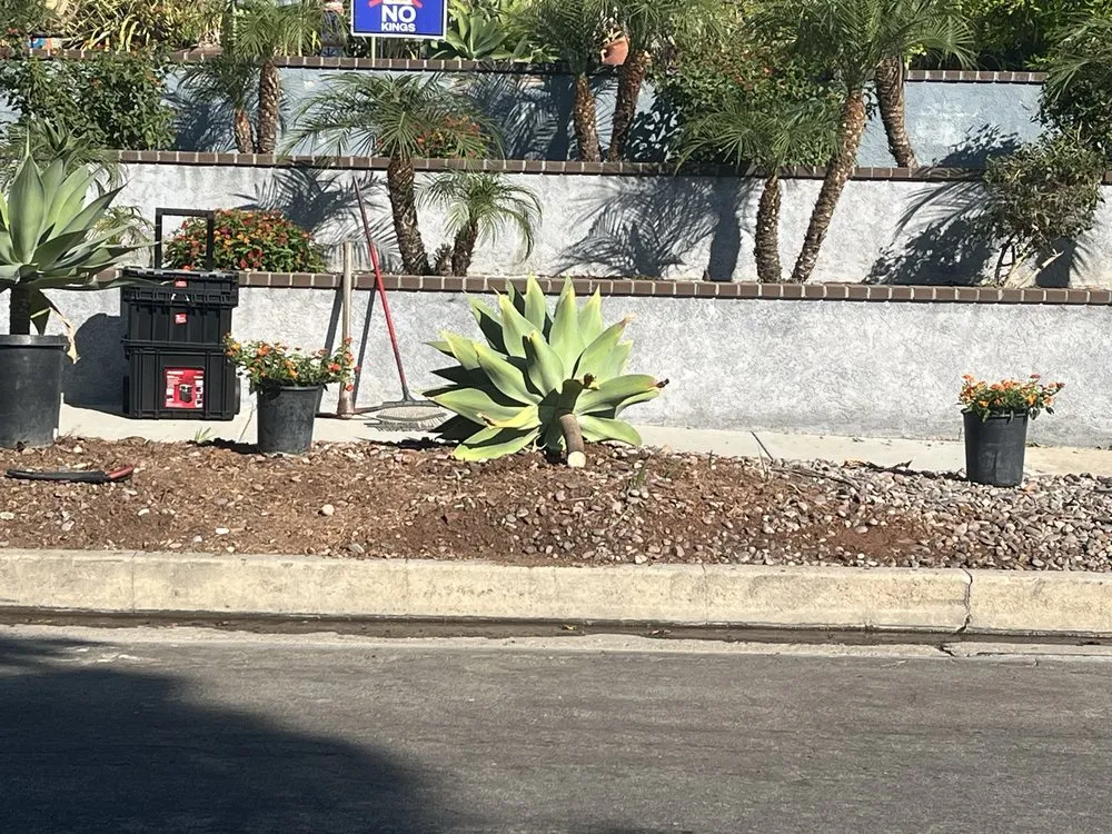 Reliable yard maintenance for year-round maintenance in Garden Grove, CA by Jose Raymundo Gardening