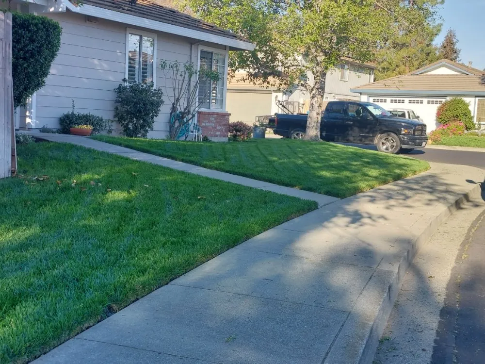 Trusted residential landscaping in Fairfield, CA by Jose Reyes Landscaping
