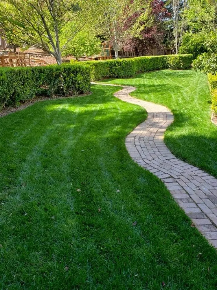 Reliable outdoor landscaping in Fairfield, CA - Jose Reyes Landscaping