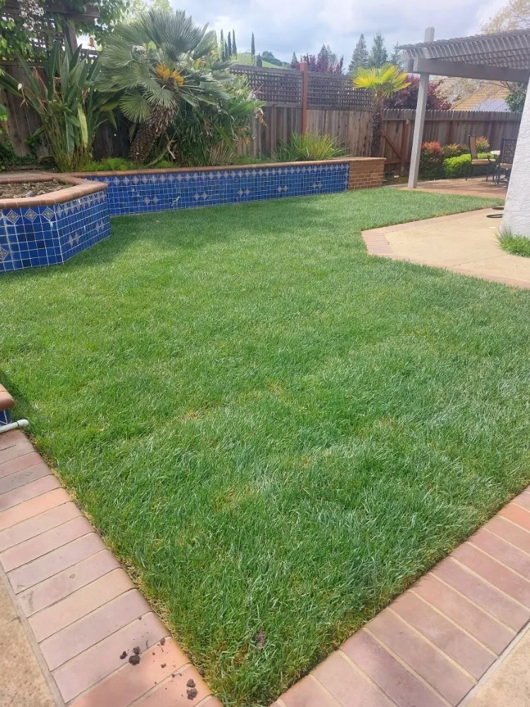 Top-rated residential landscaping in Fairfield, CA - Jose Reyes Landscaping