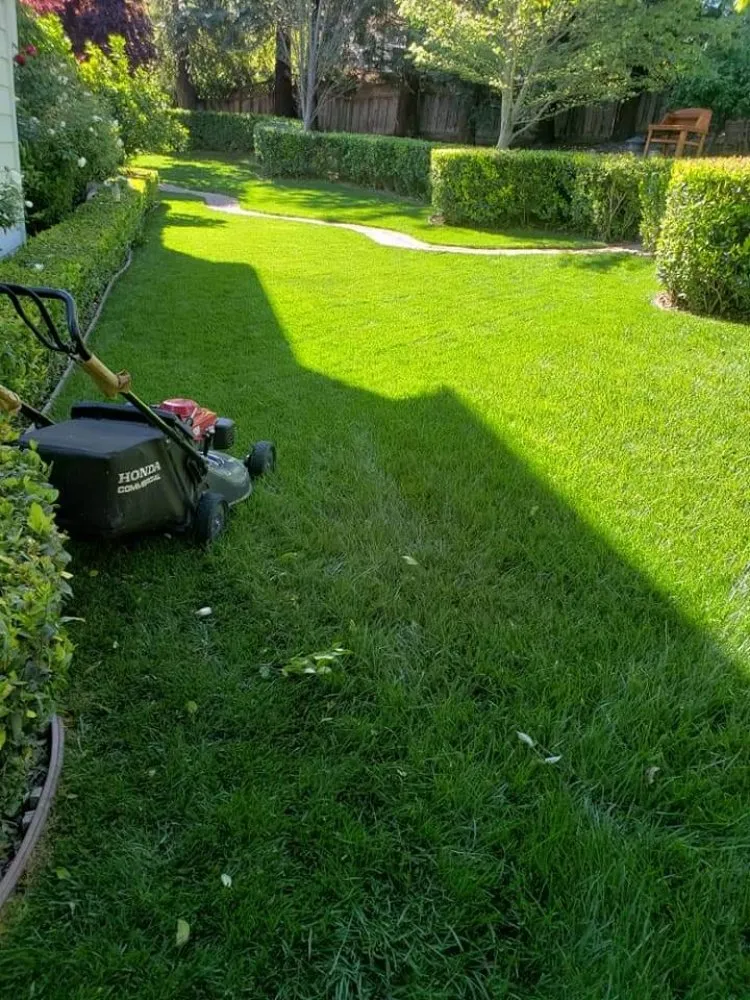 Top-rated residential landscaping in Fairfield, CA - Jose Reyes Landscaping