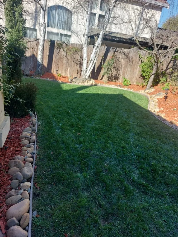 Custom yard cleanup service in Fairfield, CA by Jose Reyes Landscaping