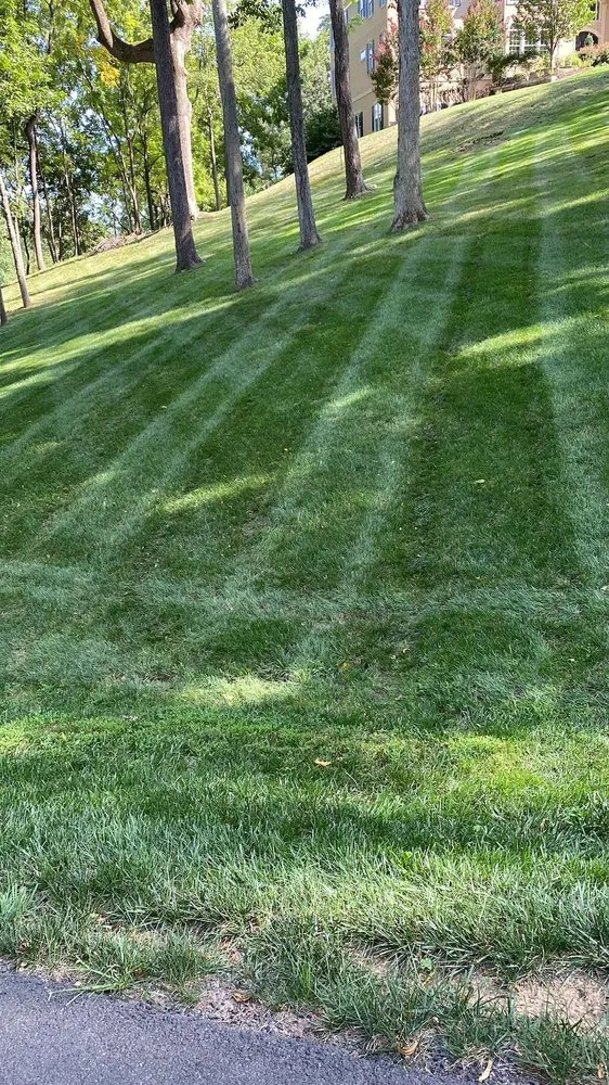 Custom yard cleanup service for beautiful yards in Winchester, VA by Jose Reyes Landscaping
