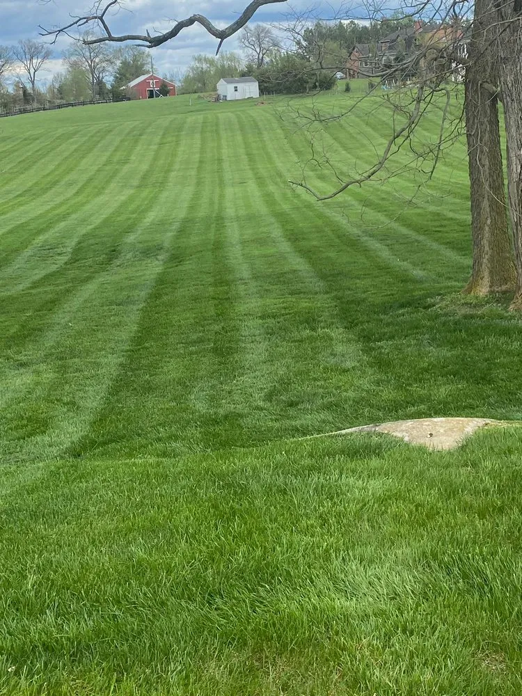 Top-rated landscape design in Winchester, VA - Jose Reyes Landscaping