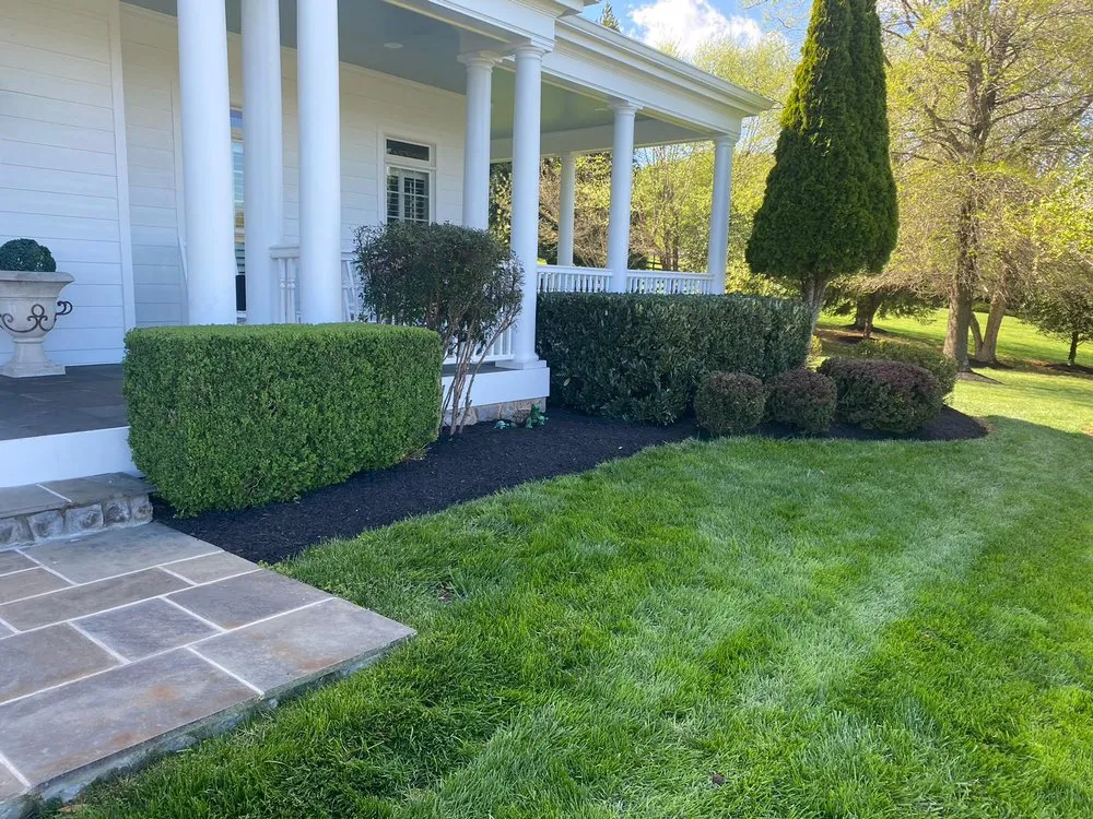 Reliable yard maintenance in Winchester, VA - Jose Reyes Landscaping