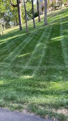 Jose Reyes Landscaping Logo