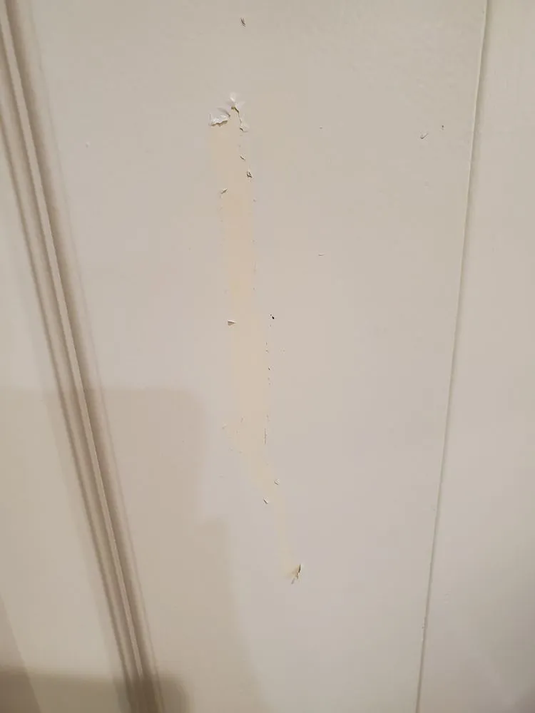 Professional landscape installation for homes across Dripping Springs, TX - Jose Rios Services and More