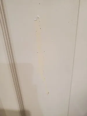 Jose Rios Services and More Logo