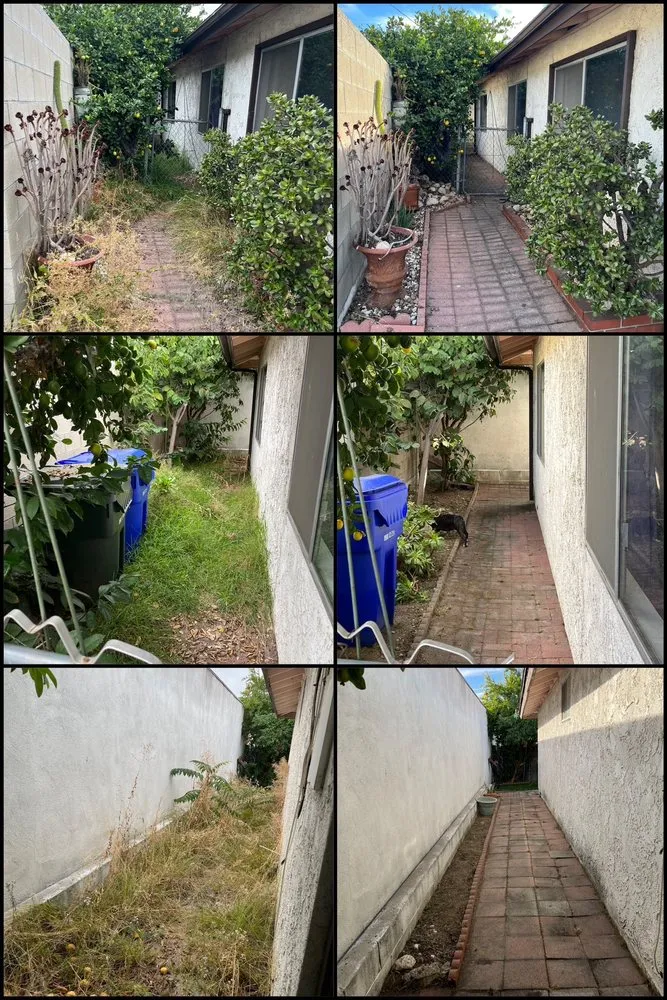 Reliable lawn care service in West Covina, CA by Jose Rivera