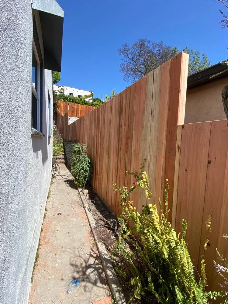 Professional yard cleanup service in West Covina, CA by Jose Rivera
