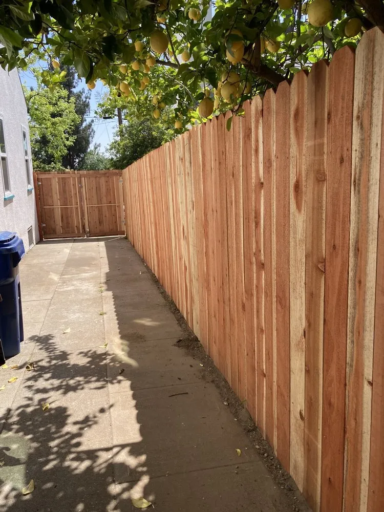 Professional landscaping services with custom design in West Covina, CA by Jose Rivera