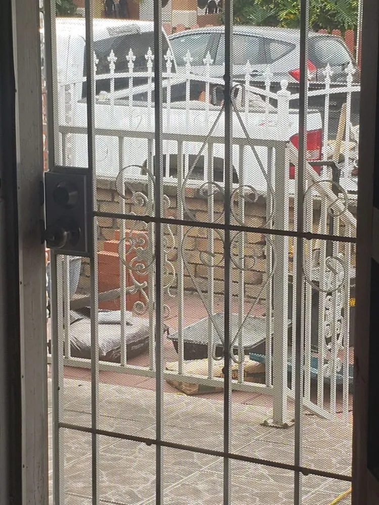 Custom yard maintenance near you in West Covina, CA by Jose Rivera