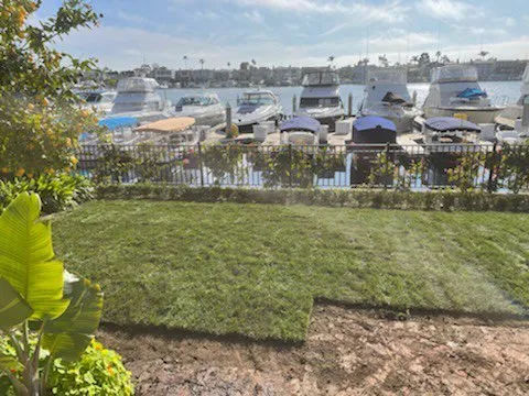 Reliable landscape design in Costa Mesa, CA - Jose Rodríguez Landscaping