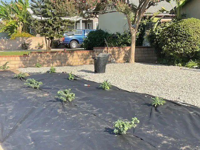Affordable residential landscaping for residential properties across Costa Mesa, CA - Jose Rodríguez Landscaping