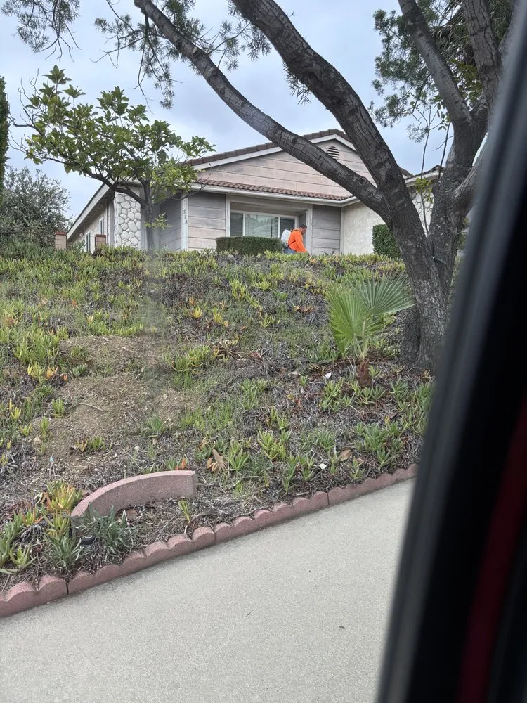 Local yard cleanup service for residential properties in Pomona, CA by Jose Romero Landscaping