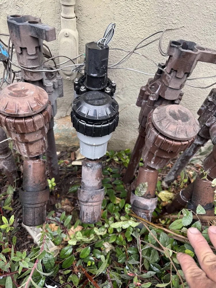 Custom landscape design experts serving Pomona, CA - Jose Romero Landscaping