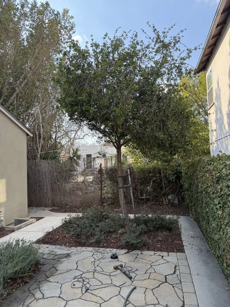 Trusted lawn mowing service experts serving Pomona, CA - Jose Romero Landscaping