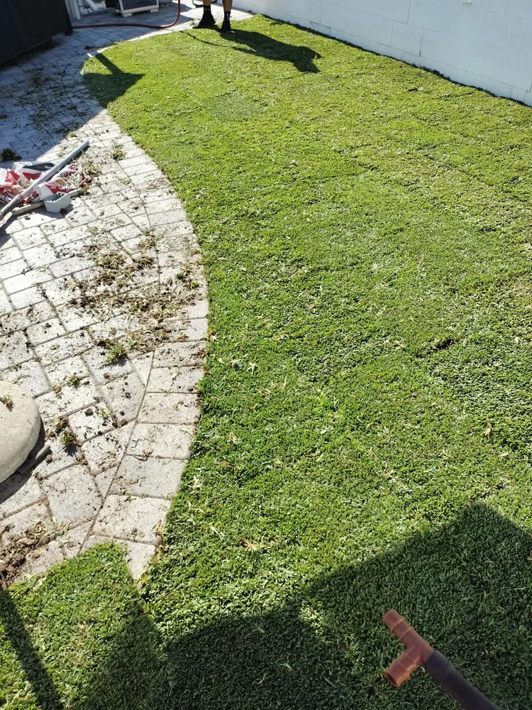 Trusted residential landscaping in Pomona, CA by Jose Romero Landscaping