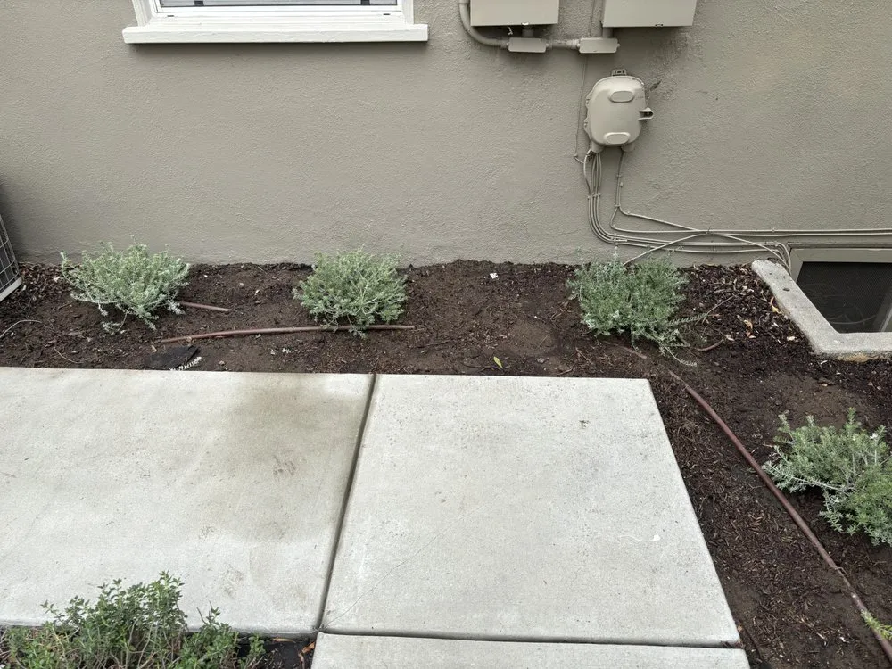 Professional outdoor landscaping in Pomona, CA - Jose Romero Landscaping