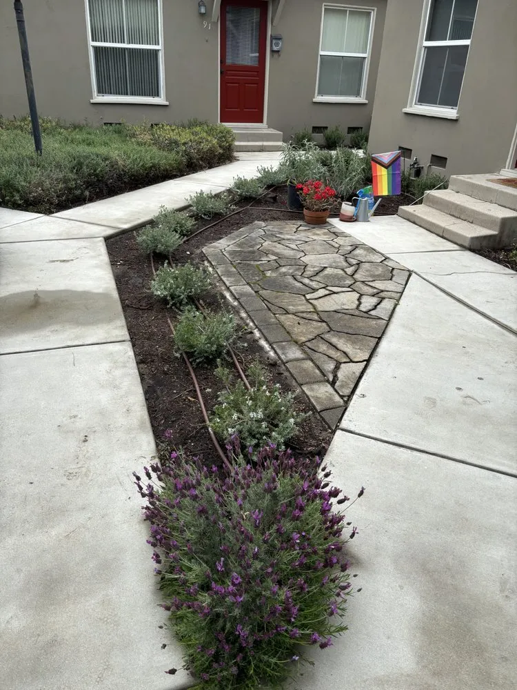 Affordable landscape design in Pomona, CA by Jose Romero Landscaping