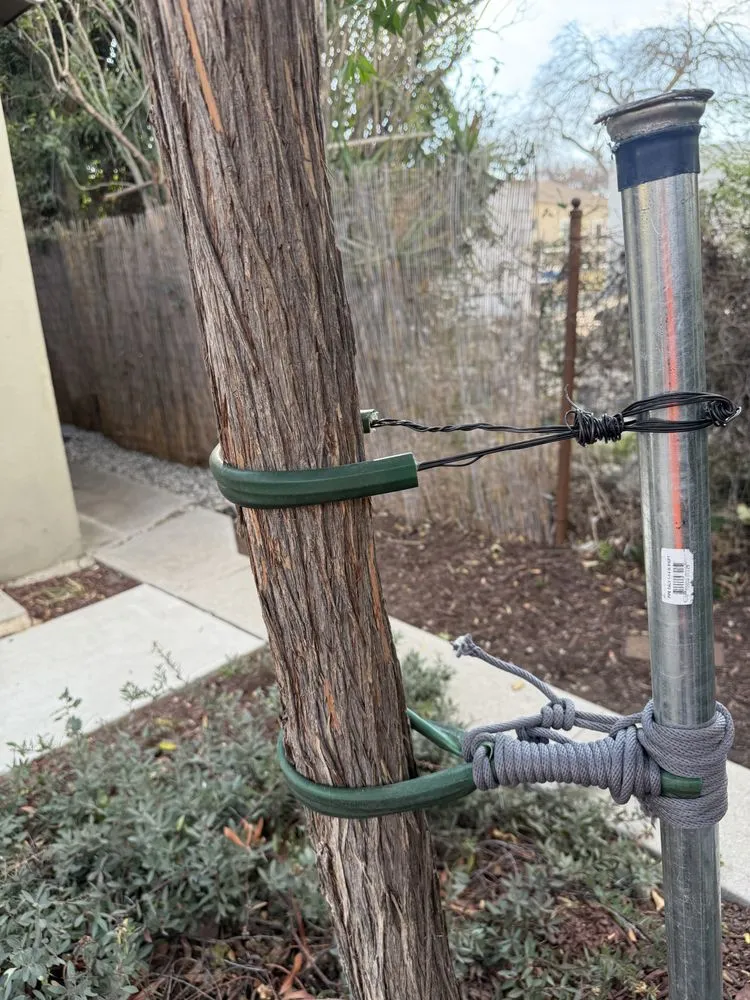 Expert landscaping services in Pomona, CA - Jose Romero Landscaping