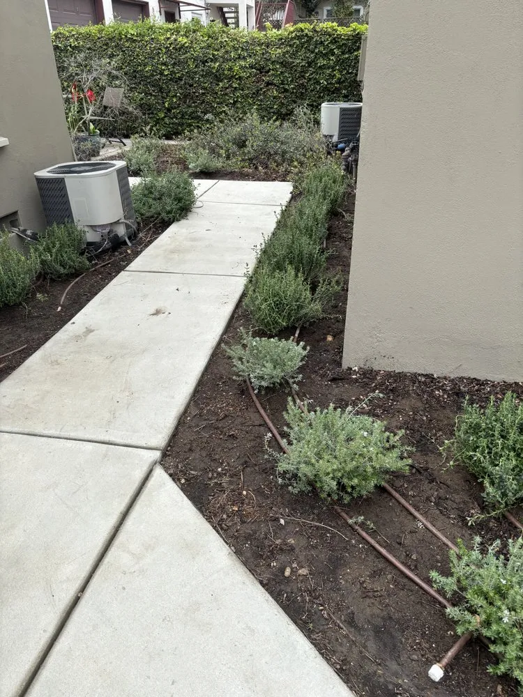 Trusted lawn care service experts serving Pomona, CA - Jose Romero Landscaping