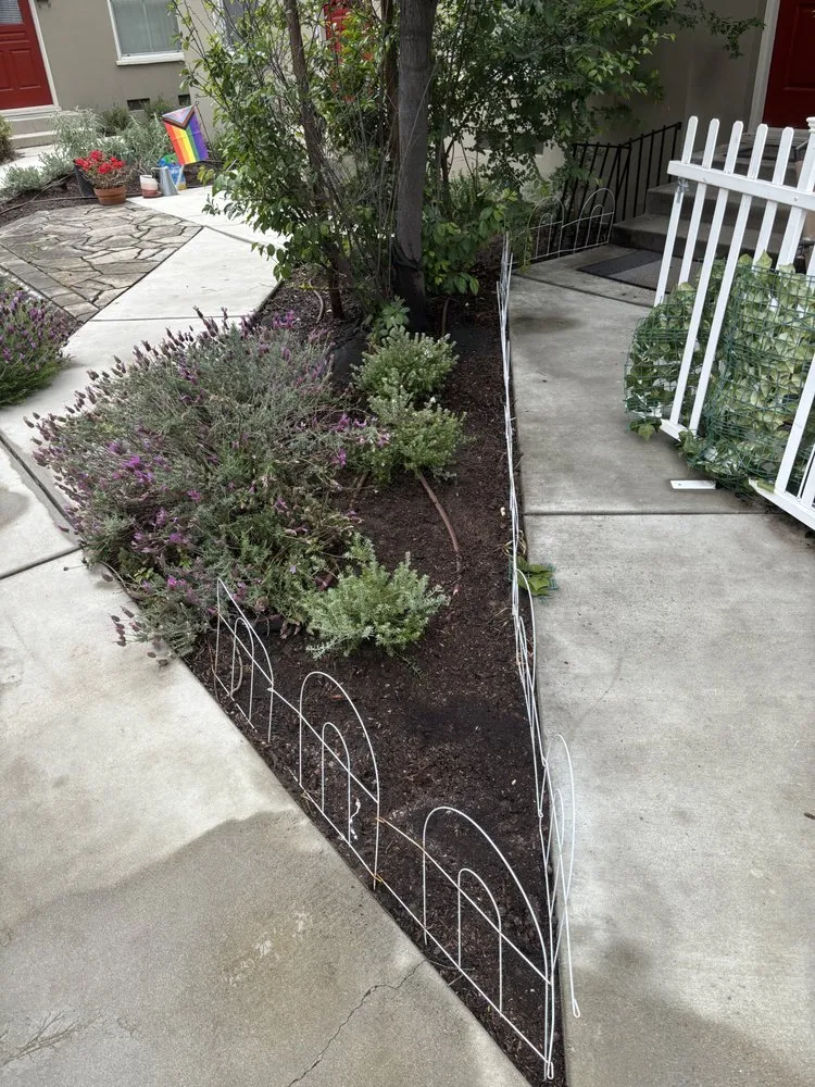 Top-rated landscape design experts serving Pomona, CA - Jose Romero Landscaping