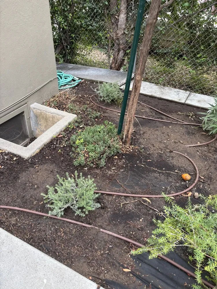 Professional yard maintenance in Pomona, CA by Jose Romero Landscaping