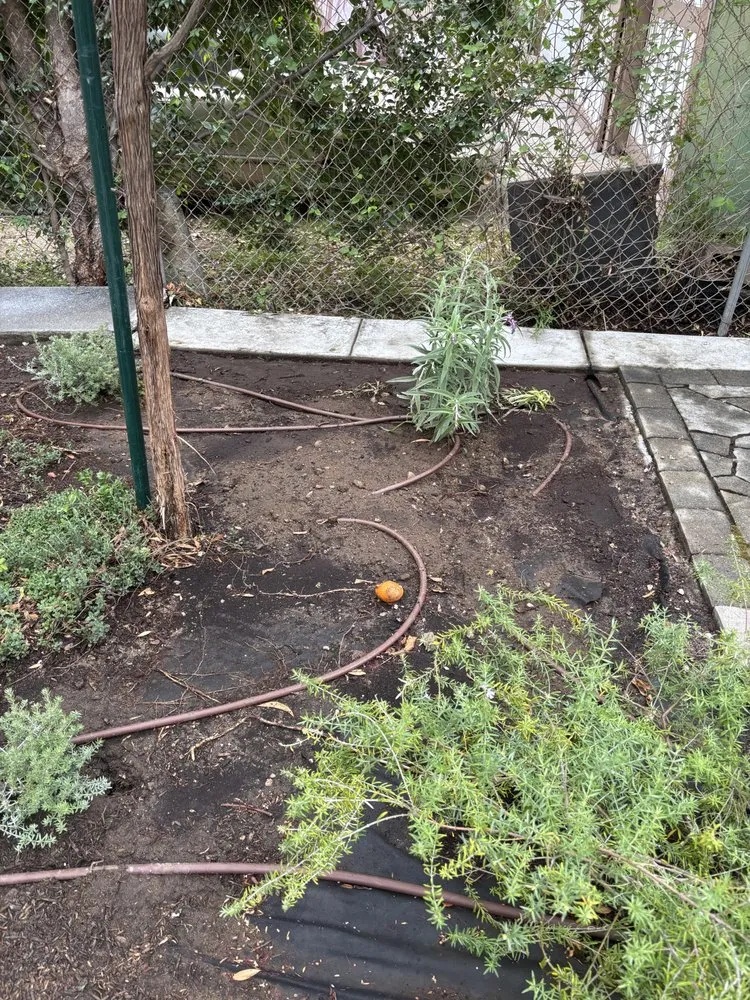 Trusted garden landscaping with custom design in Pomona, CA by Jose Romero Landscaping