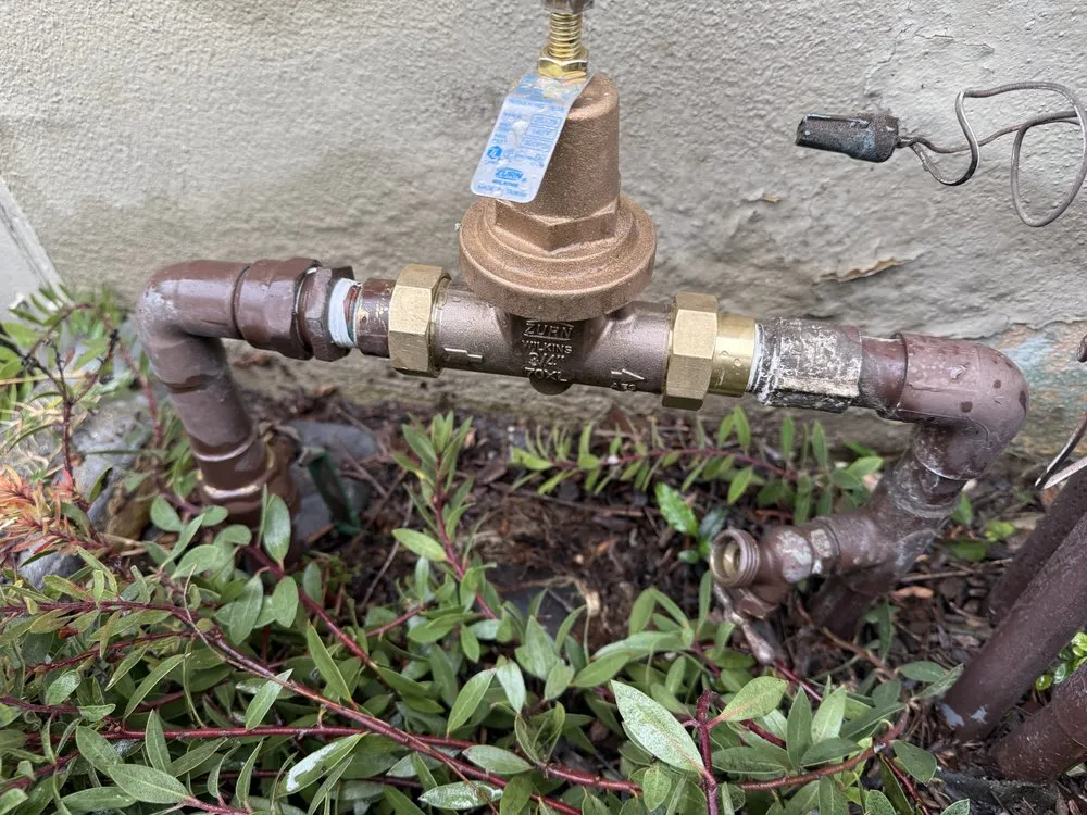 Top-rated landscape installation in Pomona, CA by Jose Romero Landscaping