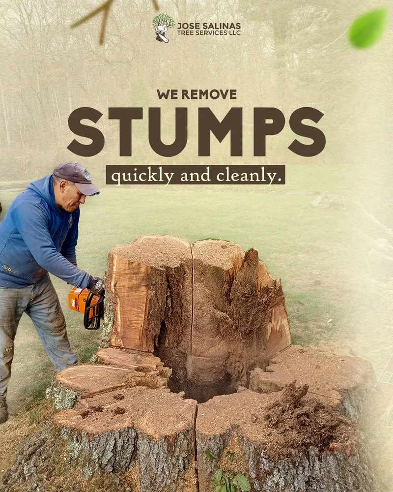 Professional lawn care service in Danbury, CT by Jose Salinas Tree Services