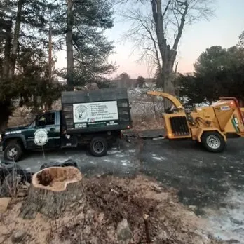 Top-rated yard cleanup service for outdoor upgrades in Danbury, CT by Jose Salinas Tree Services
