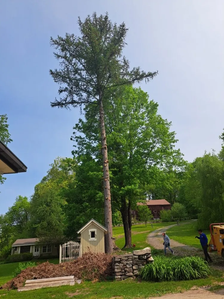 Reliable residential landscaping experts serving Danbury, CT - Jose Salinas Tree Services