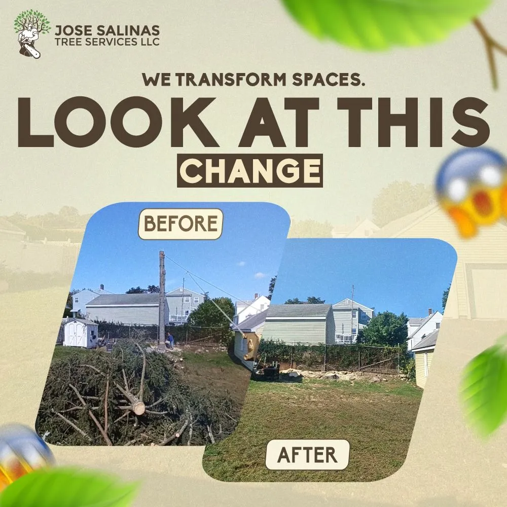 Trusted lawn mowing service in Danbury, CT - Jose Salinas Tree Services