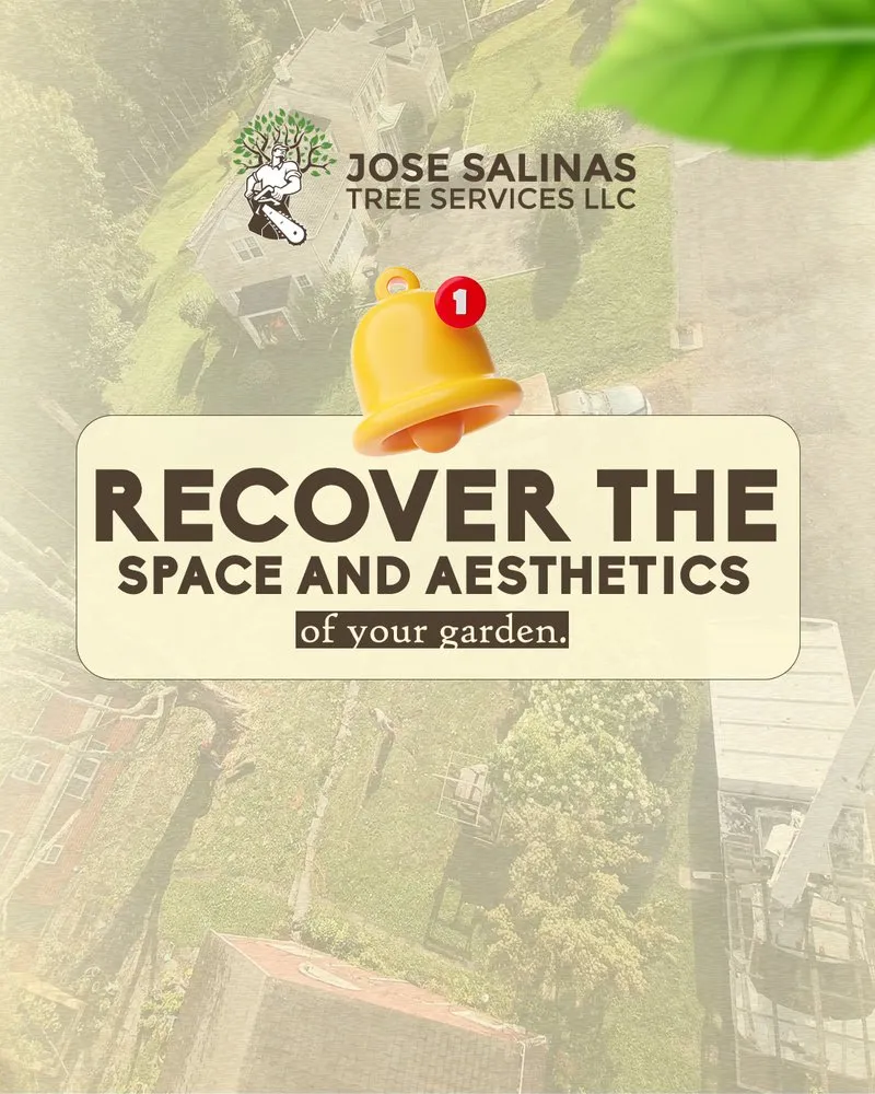 Trusted residential landscaping in Danbury, CT by Jose Salinas Tree Services