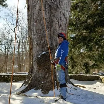 Top-rated yard maintenance for beautiful yards across Danbury, CT - Jose Salinas Tree Services