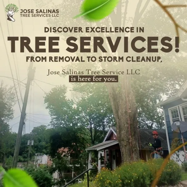 Professional yard maintenance in Danbury, CT - Jose Salinas Tree Services
