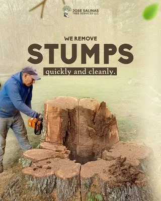 Jose Salinas Tree Services Logo